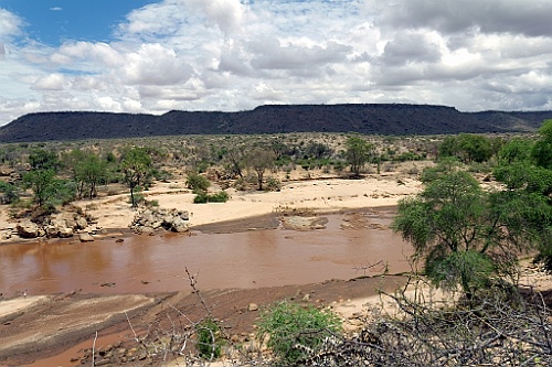 Kenia (381)